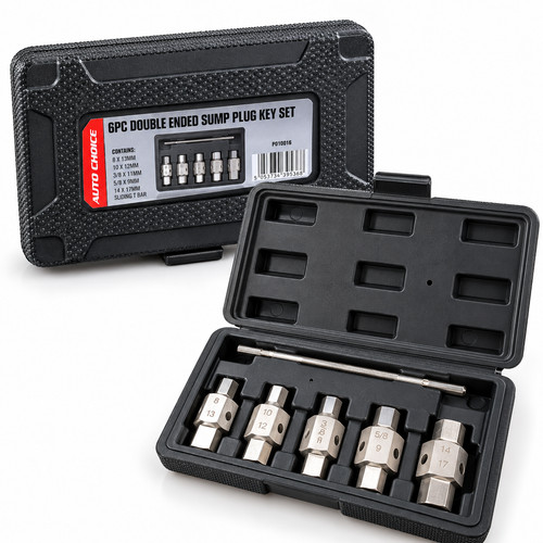 6pc drain plug - plug, double