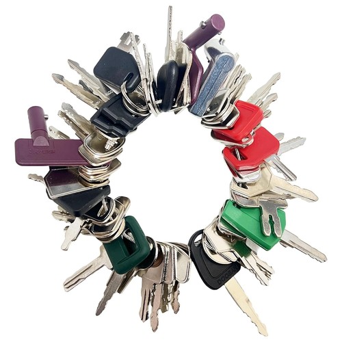 55pcs plant key - 55pcs,